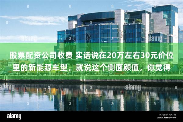 股票配资公司收费 实话说在20万左右30元价位里的新能源车型，就说这个侧面颜值，你觉得