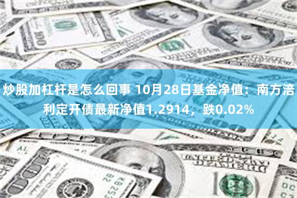 炒股加杠杆是怎么回事 10月28日基金净值：南方涪利定开债最新净值1.2914，跌0.02%