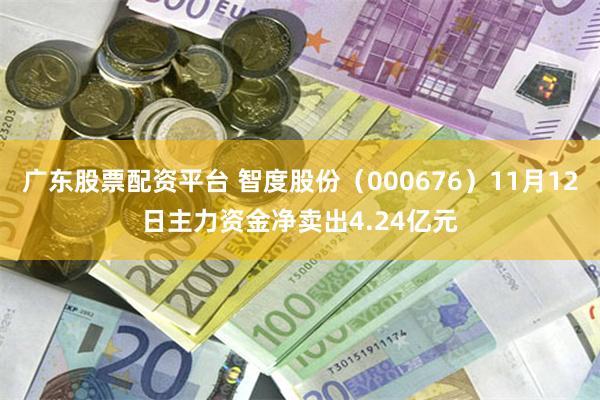 广东股票配资平台 智度股份（000676）11月12日主力资金净卖出4.24亿元