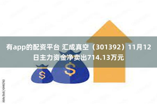 有app的配资平台 汇成真空（301392）11月12日主力资金净卖出714.13万元