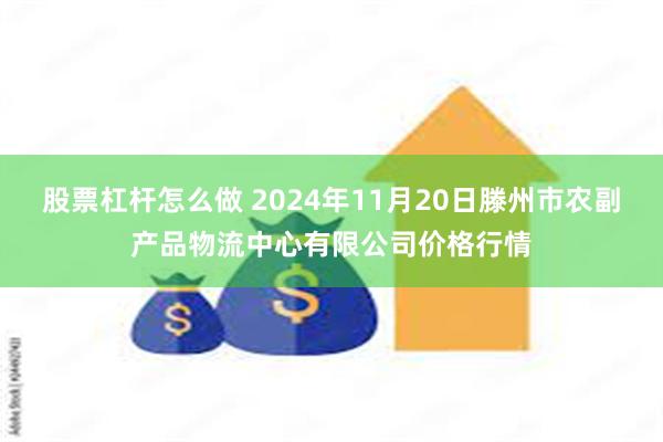 股票杠杆怎么做 2024年11月20日滕州市农副产品物流中心有限公司价格行情