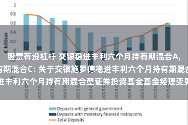 股票有没杠杆 交银稳进丰利六个月持有期混合A,交银稳进丰利六个月持有期混合C: 关于交银施罗德稳进丰利六个月持有期混合型证券投资基金基金经理变更公告