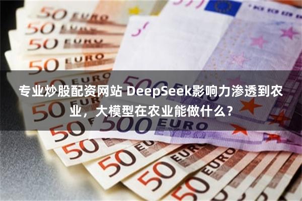 专业炒股配资网站 DeepSeek影响力渗透到农业，大模型在农业能做什么？